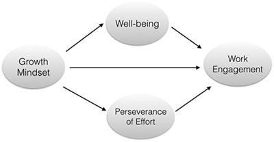 Teachers' Growth Mindset and Work Engagement in the Chinese Educational Context: Well-Being and Perseverance of Effort as Mediators